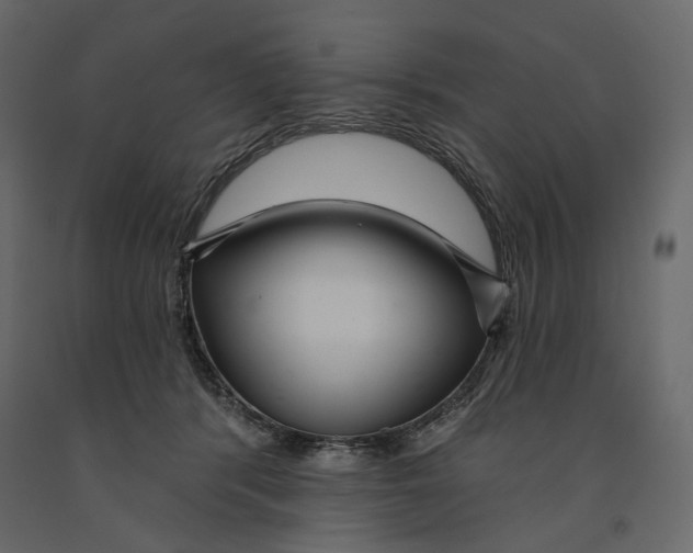 X0000090910416200708271008