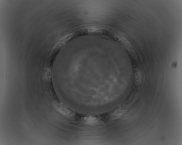 X0000090910419200708271008