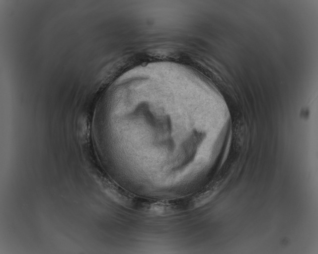 X0000090910420200708271008