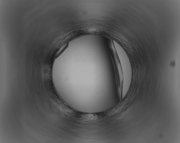 X0000090910421200708271008