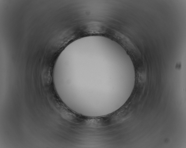 X0000090910422200708271008