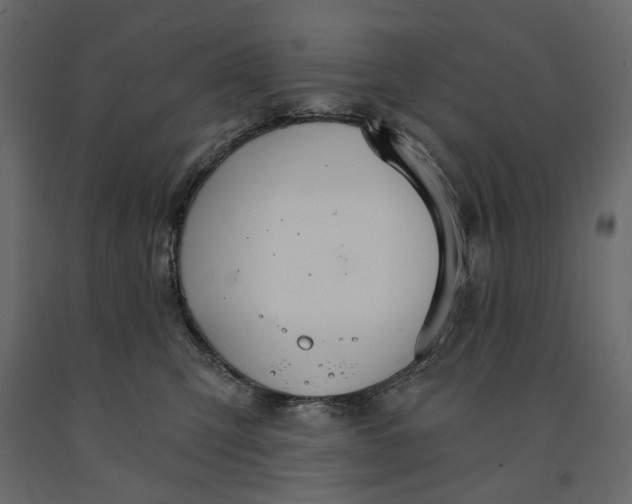 X0000090910423200708271008