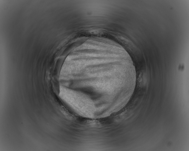 X0000090910424200708271008