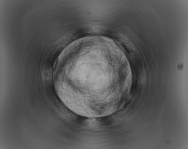 X0000090910425200708271008