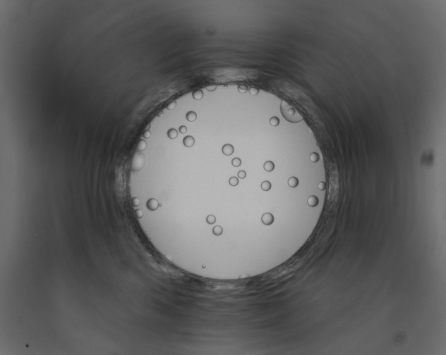 X0000090910426200708271008