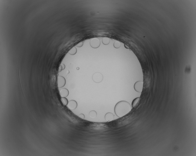 X0000090910427200708271008