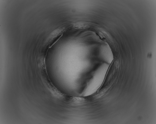 X0000090910429200708271008