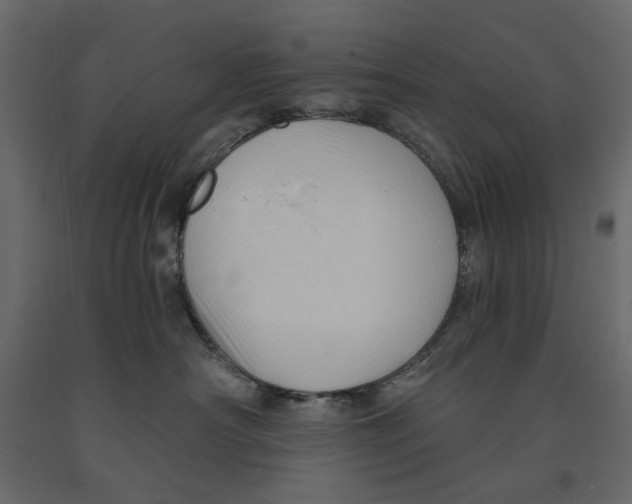 X0000090910430200708271008