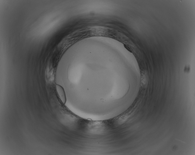 X0000090910431200708271008