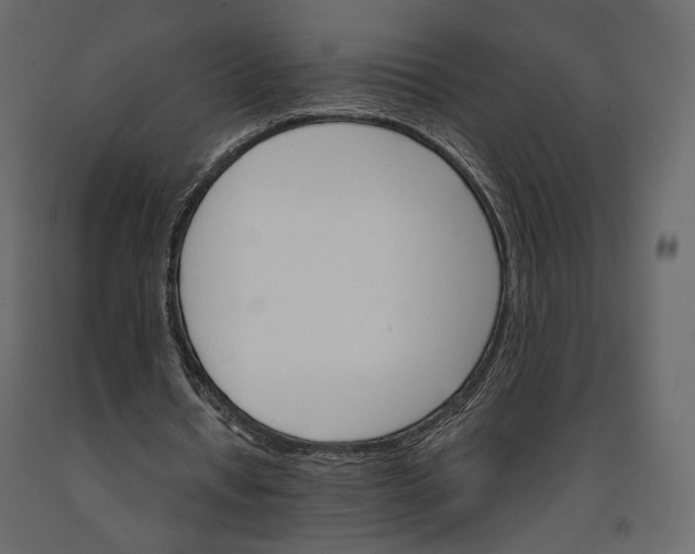 X0000090910434200708271007