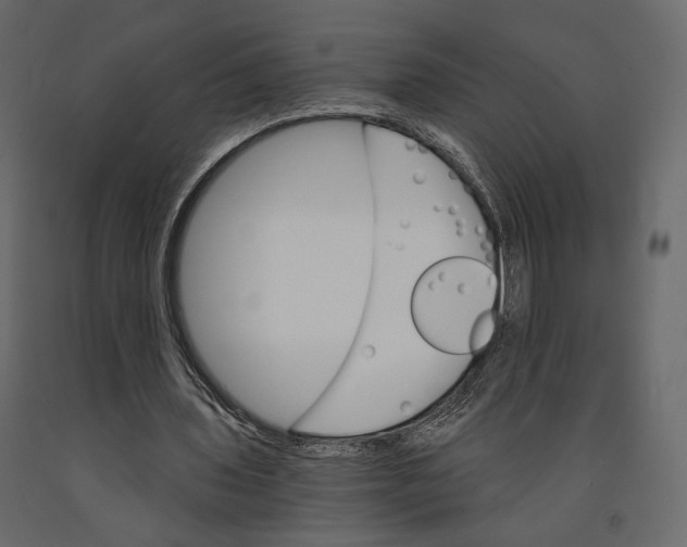 X0000090910435200708271007