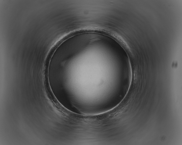 X0000090910436200708271007