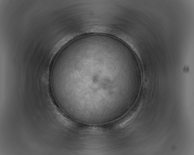 X0000090910437200708271007