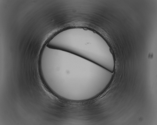 X0000090910438200708271007