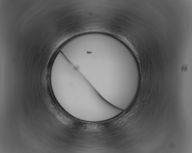 X0000090910439200708271007