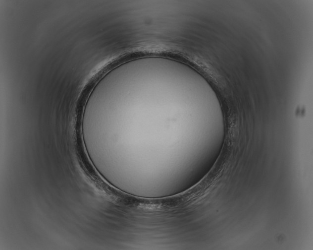 X0000090910440200708271007