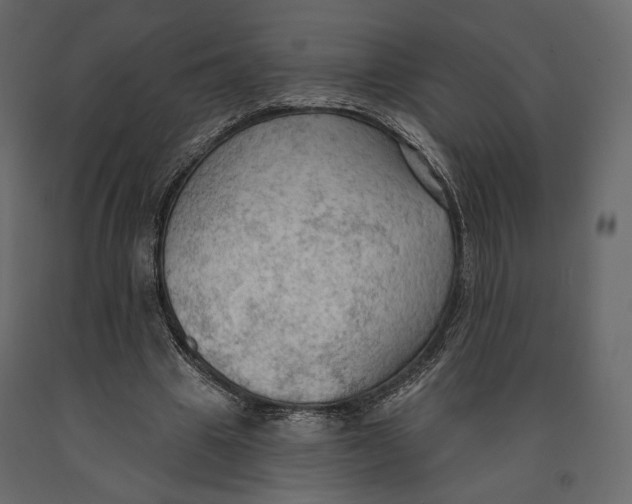 X0000090910441200708271007