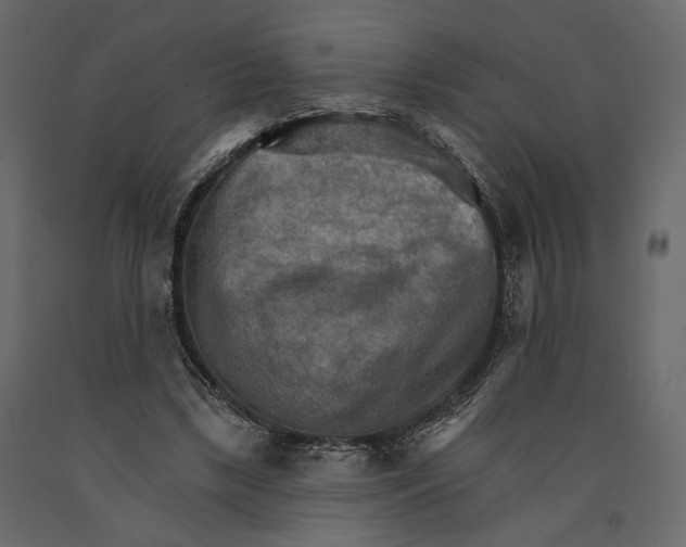 X0000090910443200708271008