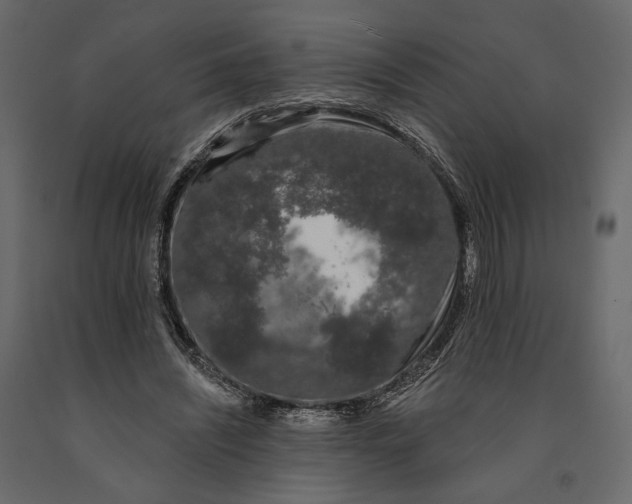 X0000090910444200708271008