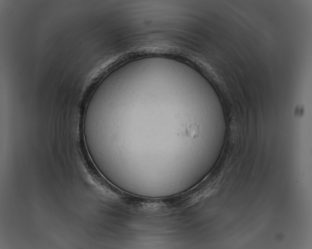 X0000090910446200708271008