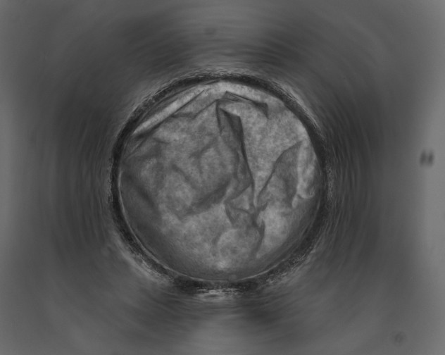 X0000090910447200708271008