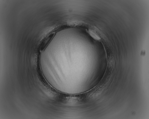 X0000090910448200708271008