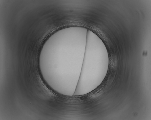 X0000090910449200708271008