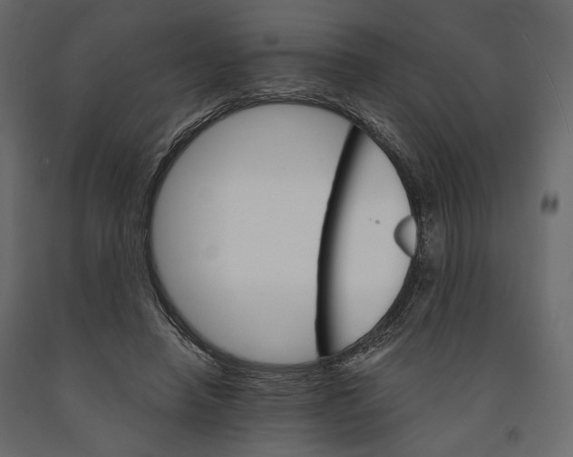 X0000090910450200708271008