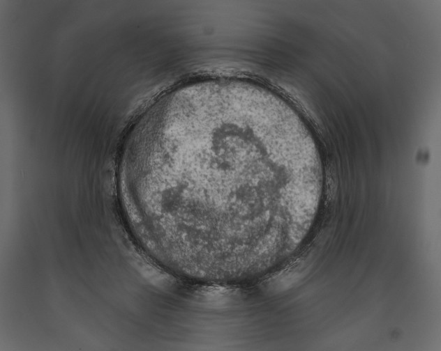 X0000090910453200708271008