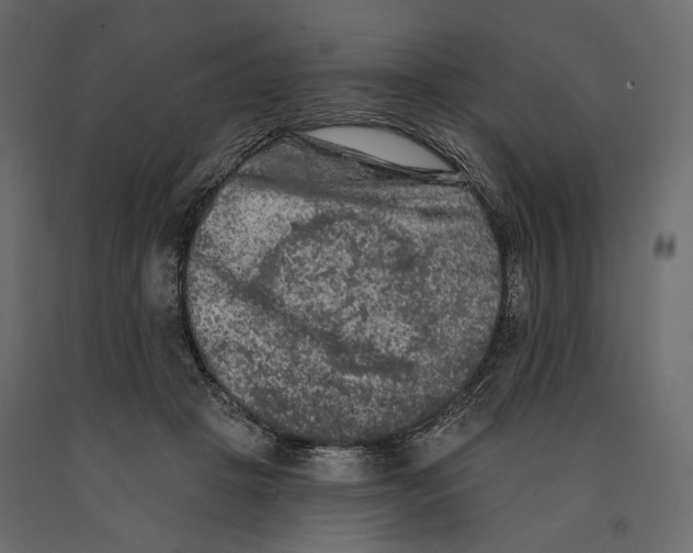 X0000090910457200708271008