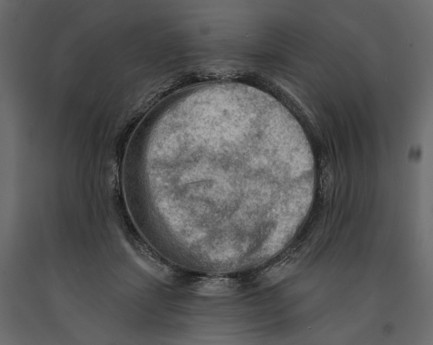 X0000090910459200708271008