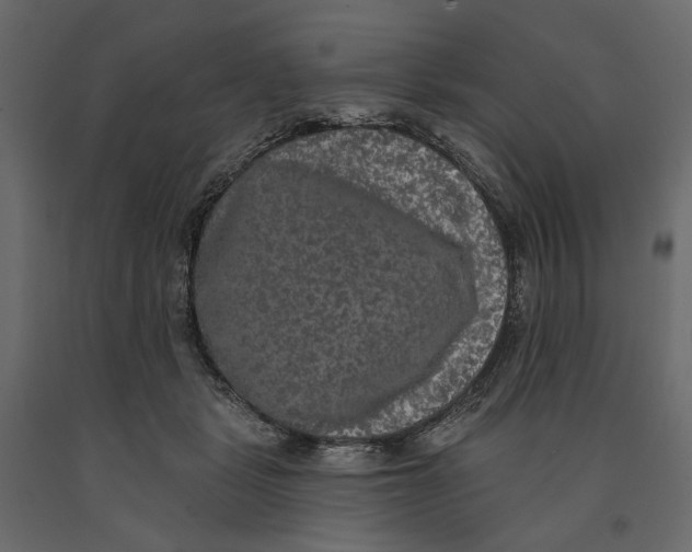 X0000090910461200708271008