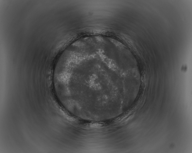 X0000090910462200708271008