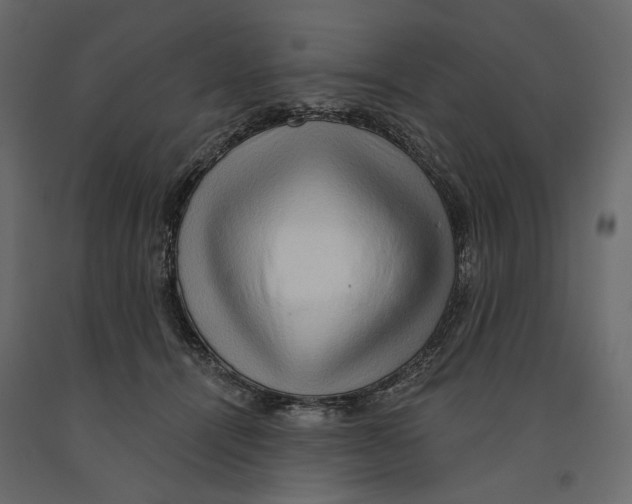 X0000090910464200708271008