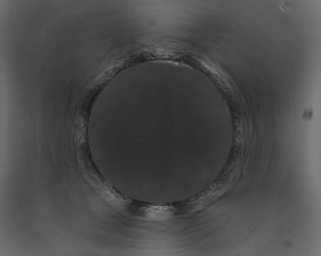 X0000090910465200708271008