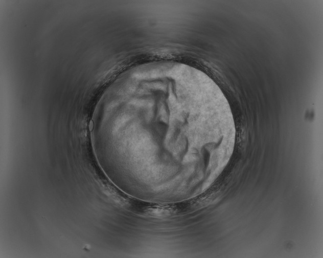 X0000090910466200708271008