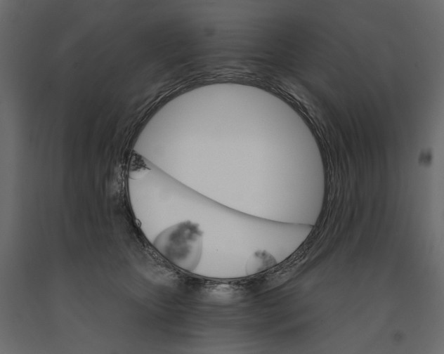 X0000090910467200708271008