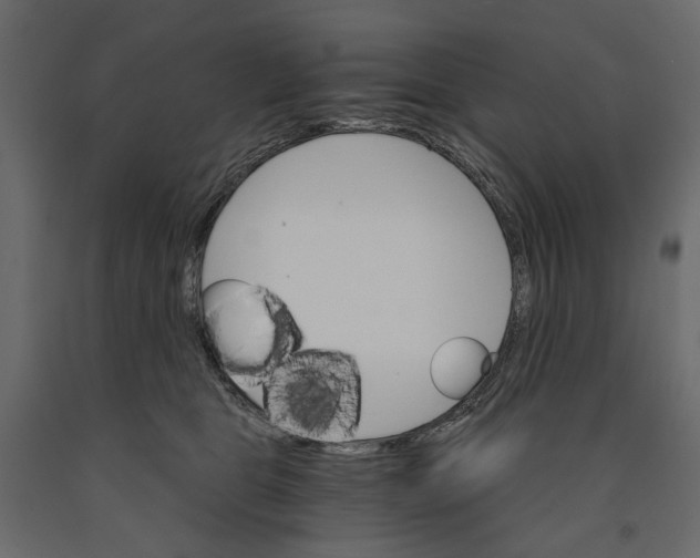 X0000090910469200708271008