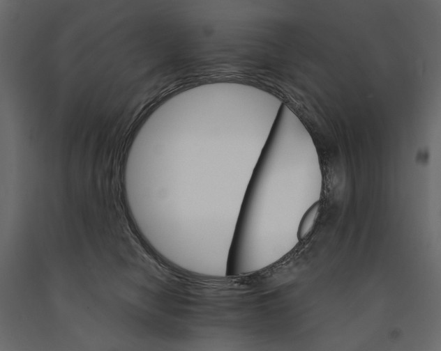 X0000090910470200708271008