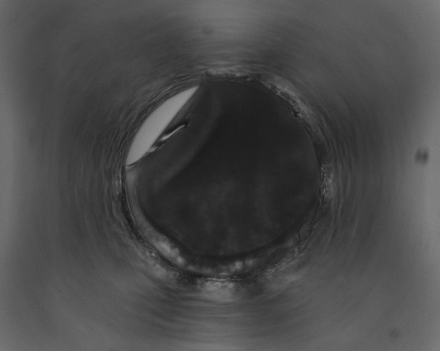 X0000090910471200708271008