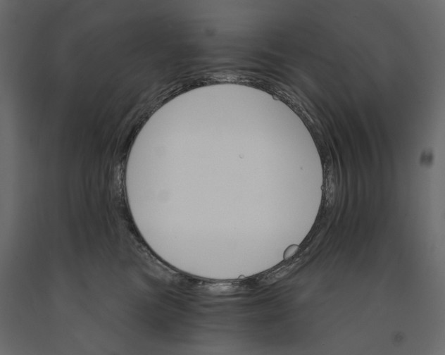 X0000090910473200708271008