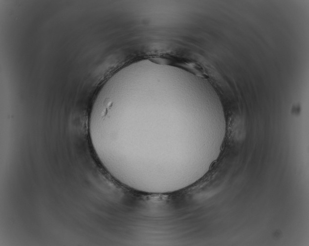 X0000090910474200708271008