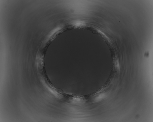 X0000090910475200708271008