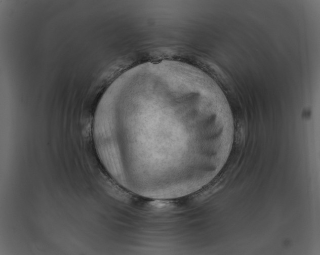 X0000090910477200708271008