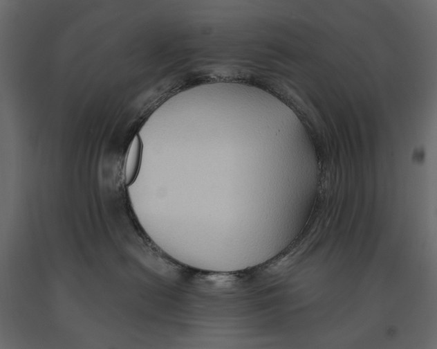 X0000090910478200708271008