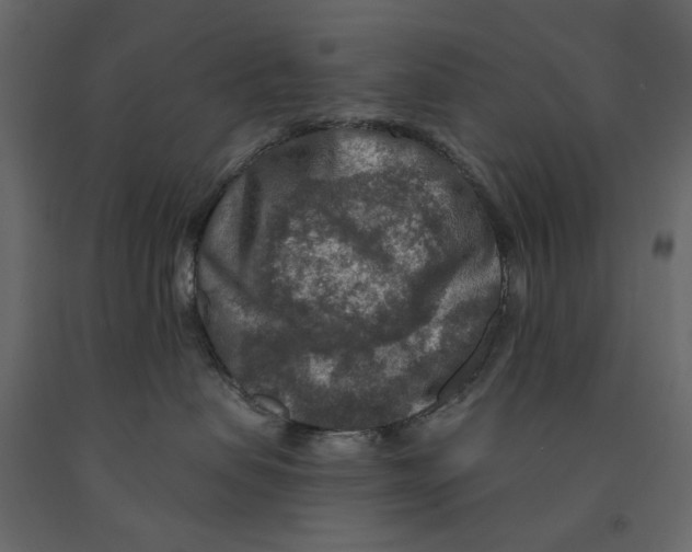 X0000090910479200708271008