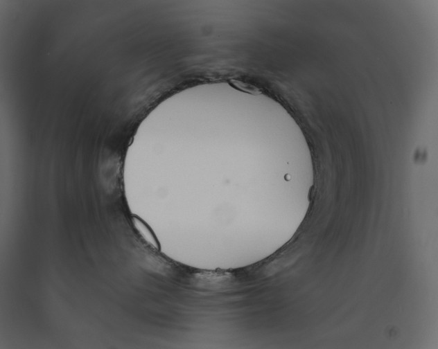 X0000090910480200708271008