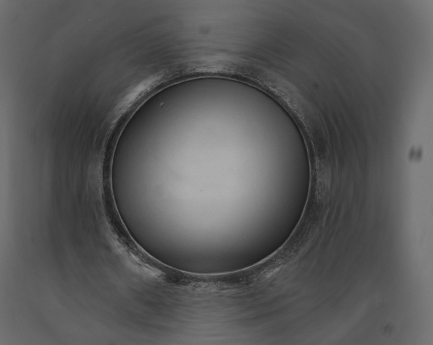 X0000090910482200708271007