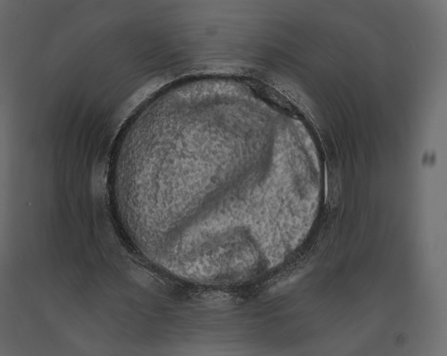 X0000090910483200708271007