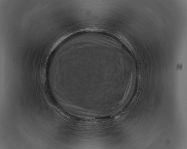 X0000090910484200708271007